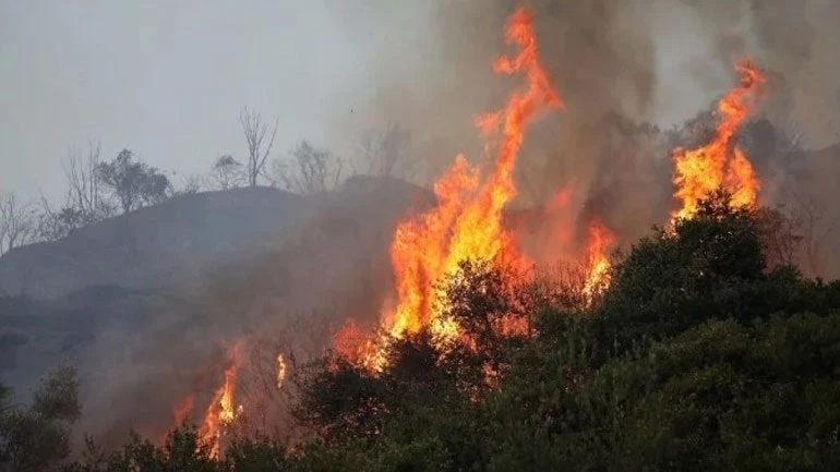 Σε εξέλιξη πυρκαγιά στην περιοχή Κελεφά Λακωνίας